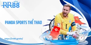 Panda Sports Thể Thao RR88 - Sảnh Cược Kịch Tính Hàng Đầu
